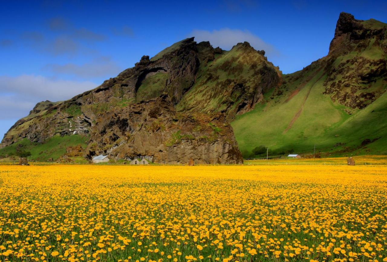 Cozy Cottage By Stay In Iceland Hvolsvollur Room photo